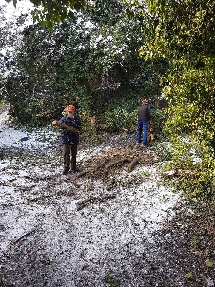 Newbold Quarry Warwickshire Wildlife Trust